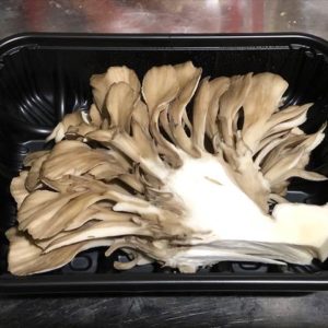 キノコ マイタケ 舞茸