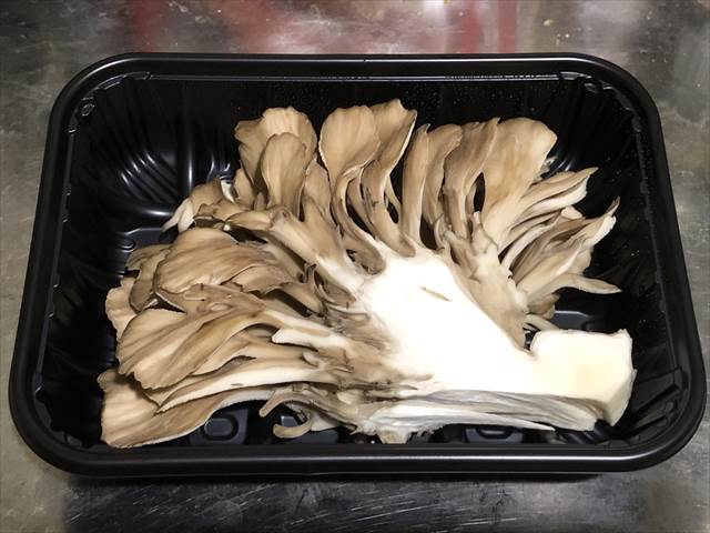 キノコ マイタケ 舞茸